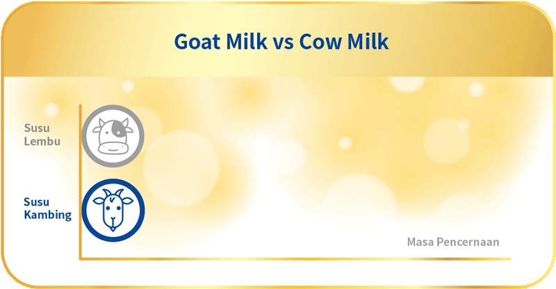 Digestion Time: Goat Milk vs Cow Milk