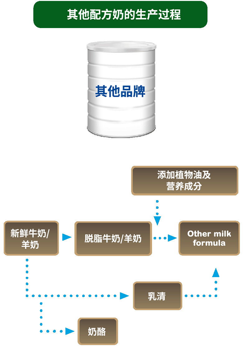 Other Milk Formula Process