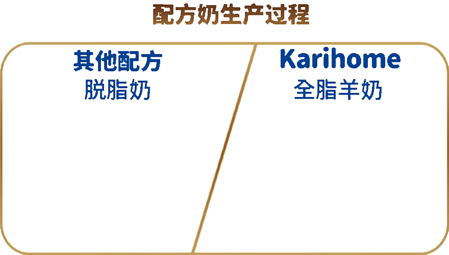 Milk Formula Production