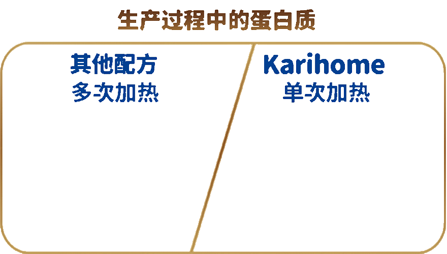 Protein during Production
