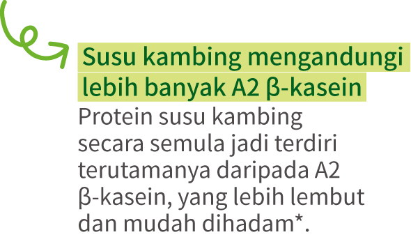 Goat milk contains more A2 β-casein.