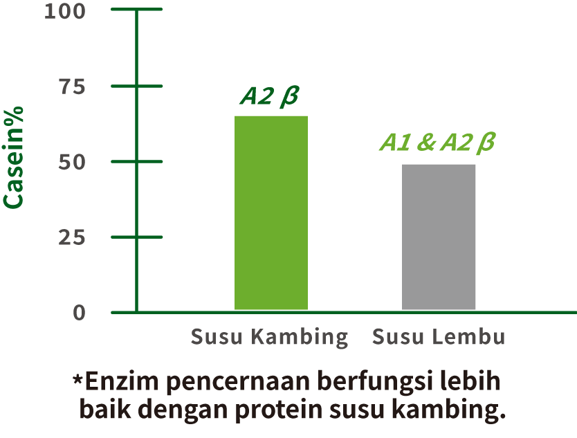 *Enzymes functions better in goat milk protein.