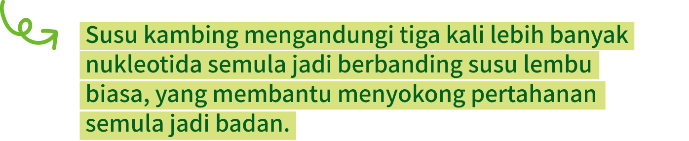 Goat milk contains three times more natural nucleotides than regular cow milk6, helping to keep out the bad stuff.