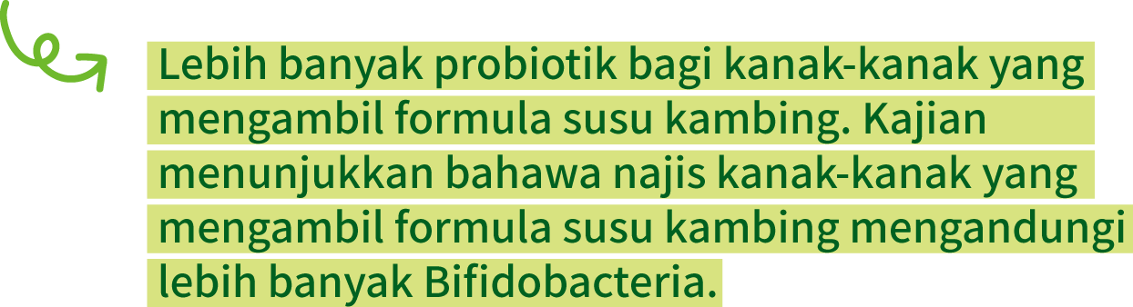More probiotics for those fed goat milk formula. Studies show that the stools of little ones fed goat milk formula contain more Bifidobacteria.