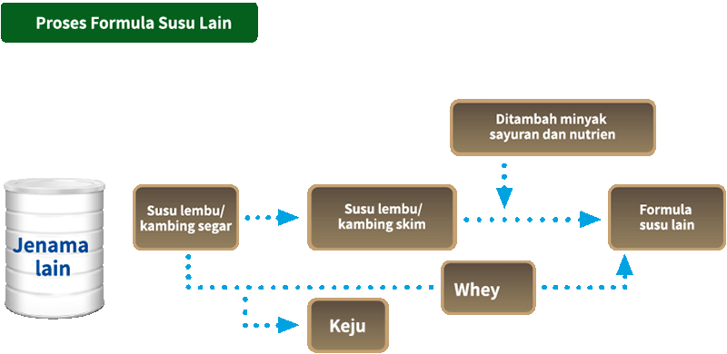 Other Milk Formula Process