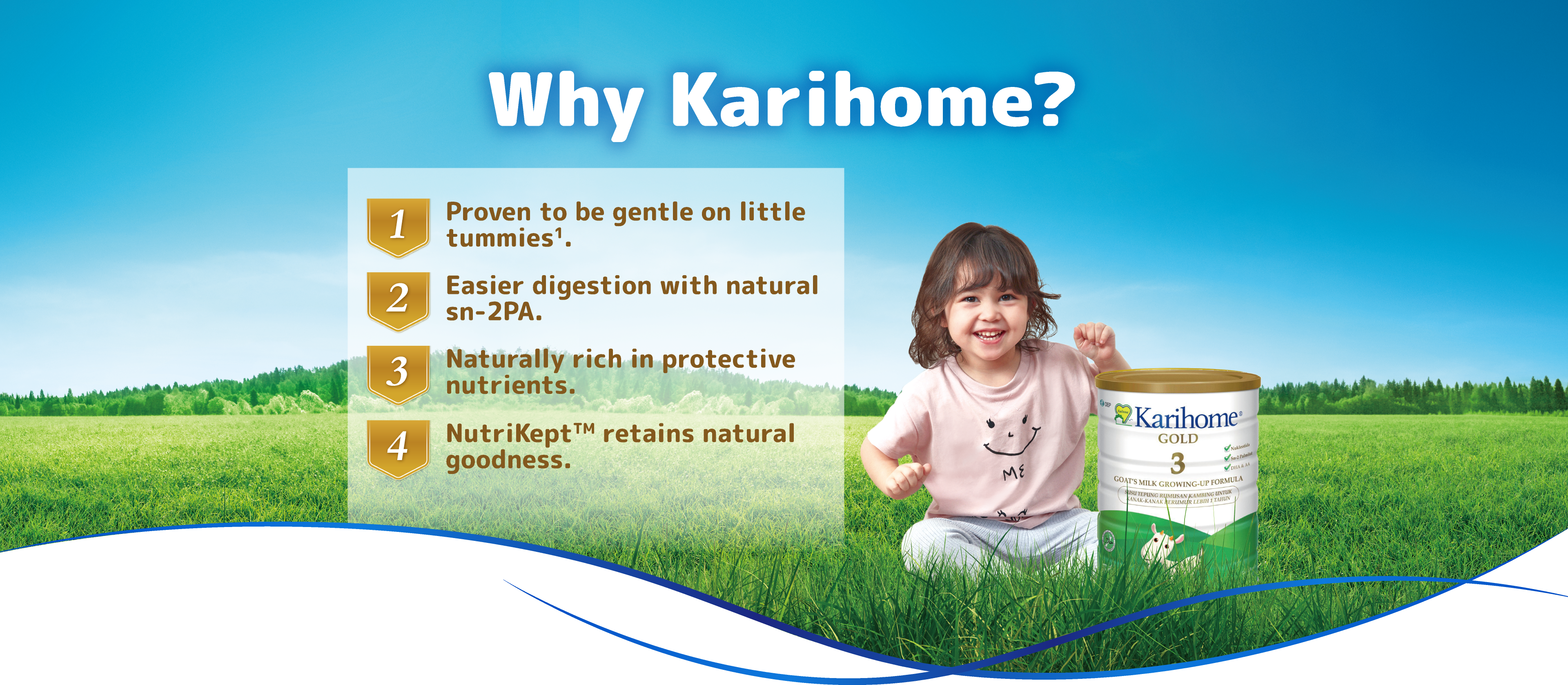 Why Karihome?