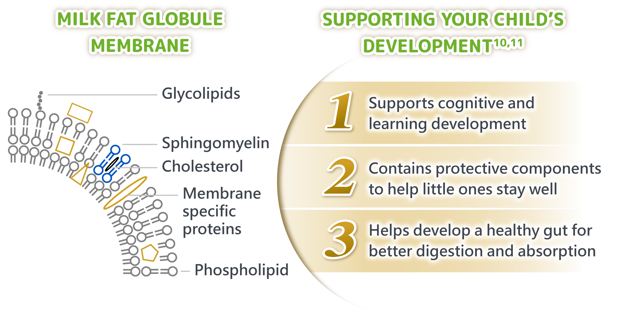 SUPPORTING YOUR CHILD'S DEVELOPMENT